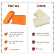 PALFICAB Papaya Lemon Soap – Exfoliating & Brightening Natural Bar (2 Bars + Net)