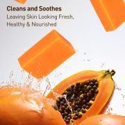 PALFICAB Papaya Lemon Soap – Exfoliating & Brightening Natural Bar (2 Bars + Net)