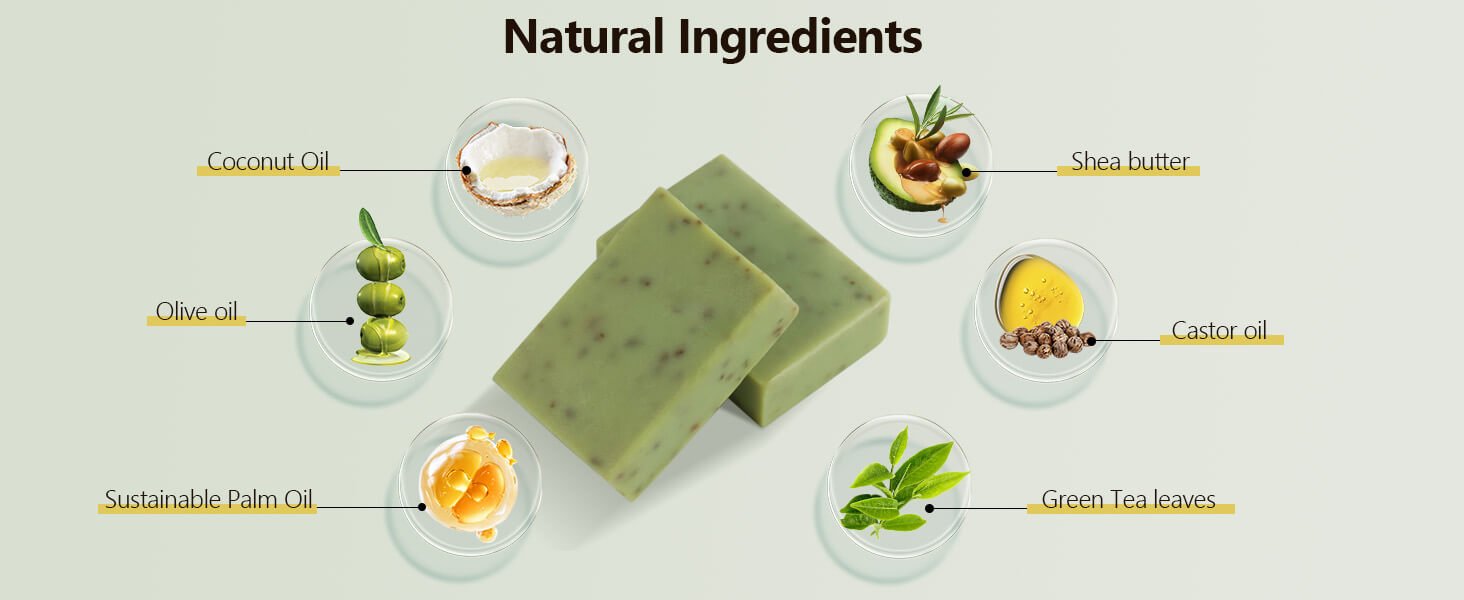 dam-tempus-turpis-at-metus