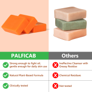 PALFICAB Papaya Soap – Exfoliating & Moisturizing Face & Body Bar (3 Bars + Net)